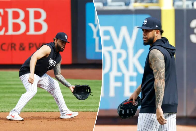 nyc-native-luis-garcia-jr.-living-his-yankees-dream-after-trade-—-but-there’s-a-major-power-task