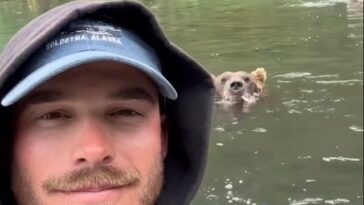 watch:-massive-brown-bear-comes-within-feet-of-fisherman-to-grab-salmon