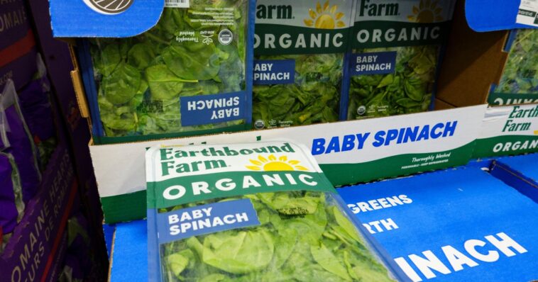 mass-cyclospora-outbreak-officially-turns-deadly