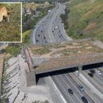 fury-as-major-freeway-ramp-closed-in-aid-of-$114m-wildlife-crossing