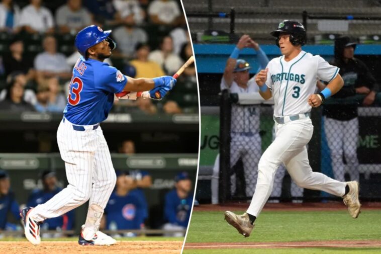 mets-acquire-talented-prospects-jefferson-rojas,-sammy-stafura-—-here’s-what-they-bring-to-the-table