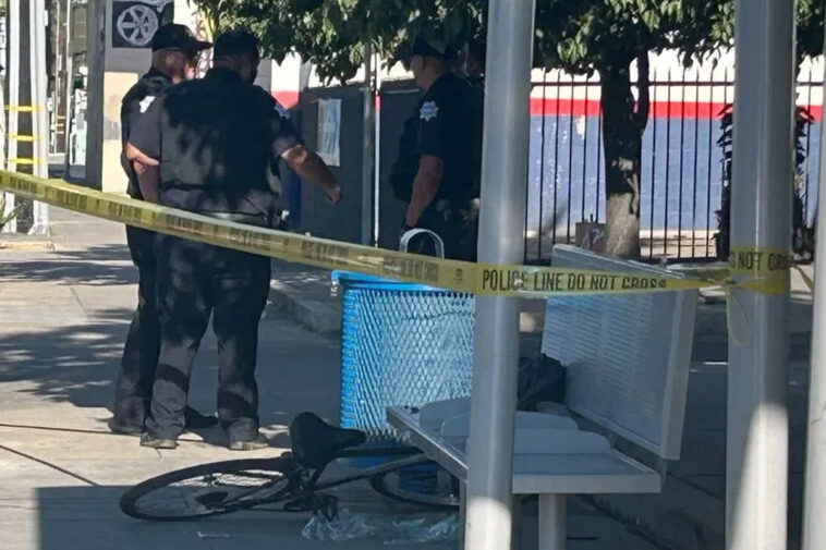rush-hour-horror-as-hatchet-wielding-maniac-hacks-bicyclist-in-california