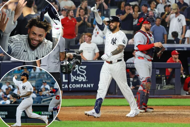 luis-garcia-jr.-hits-home-run-to-cherish-in-impressive-yankees-debut:-‘i’ll-keep-that-in-my-heart’