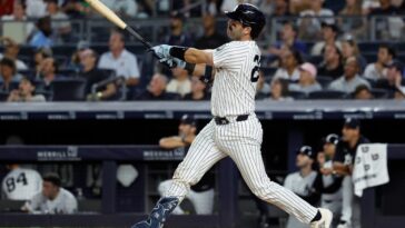 austin-wells’-bat-shows-more-signs-of-life-with-yankees-role-now-set-after-trade-deadline