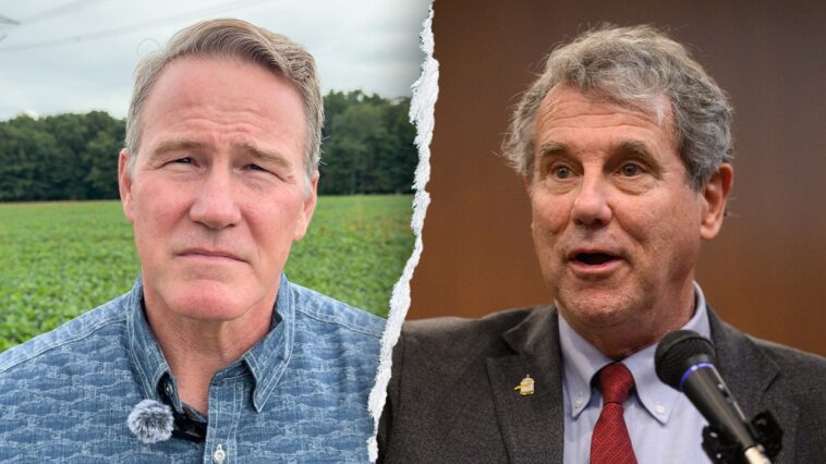 watch:-gop-senator-unloads-on-‘creature-of-washington’-challenger-in-critical-senate-showdown