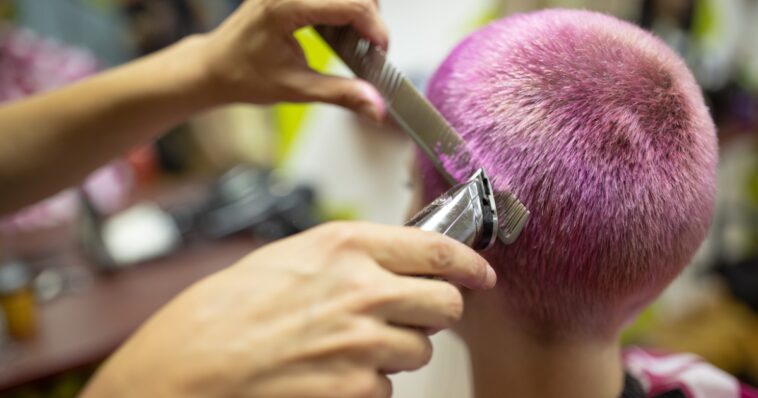 1st-amendment-dead:-christian-hair-stylist-punished-by-state-for-saying-she-wouldn’t-serve-trans-clients
