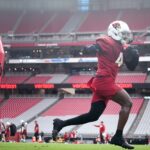 fanatics-sportsbook-promo-code-nypost26:-get-up-to-$1,000-matched-in-fancash-for panthers-vs.-cardinals