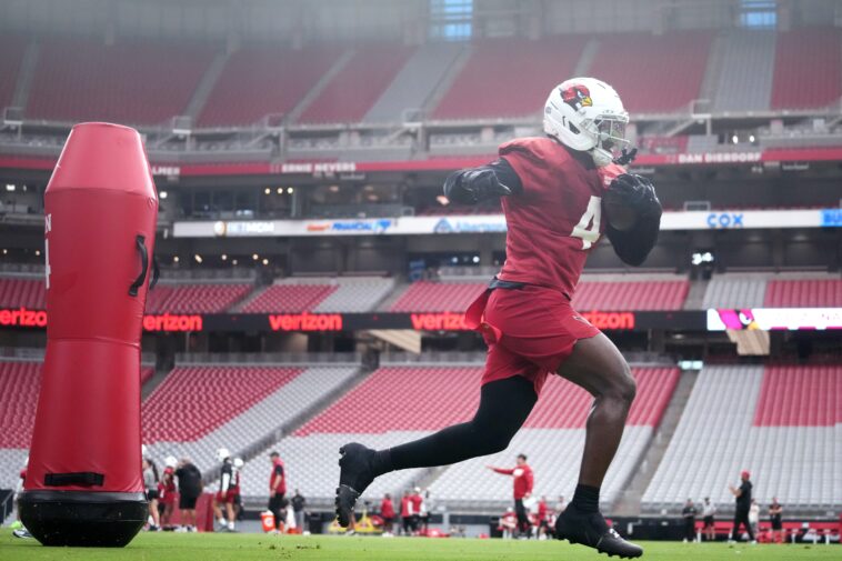 fanatics-sportsbook-promo-code-nypost26:-get-up-to-$1,000-matched-in-fancash-for panthers-vs.-cardinals