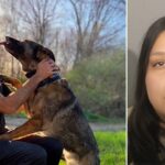 illegal-immigrant-suspect-charged-in-crash-that-killed-police-officer-and-his-girlfriend