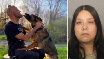 illegal-immigrant-suspect-charged-in-crash-that-killed-police-officer-and-his-girlfriend