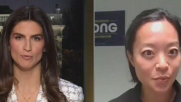 watch:-socialist-wisconsin-dem-gubernatorial-candidate-implodes-on-national-tv-when-asked-about-her-insane-position-on-thanksgiving