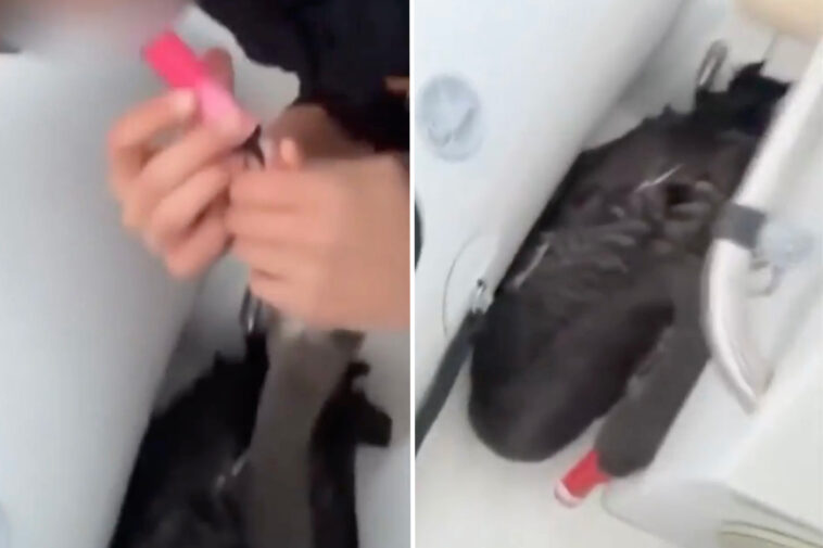 teens-force-swan-to-vape,-post-the-evidence-online