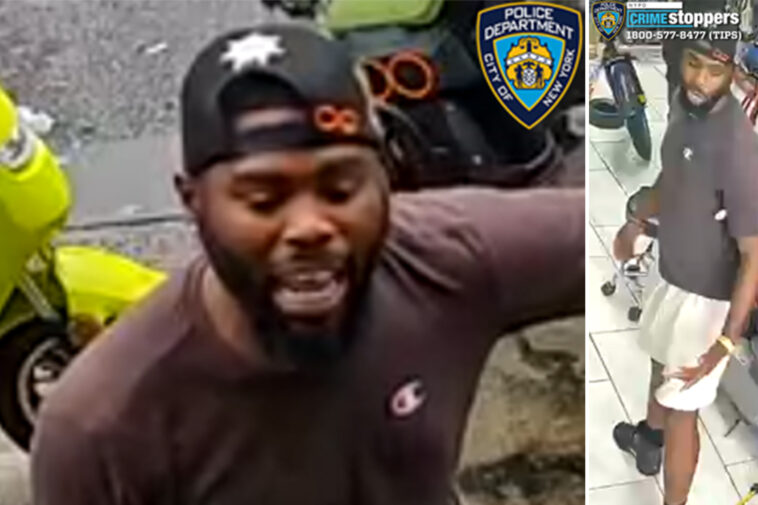 rabid-nyc-nut-chomps-on-cheek-of-senior-citizen-who-confronted-him-over-loud-music:-cops,-sources