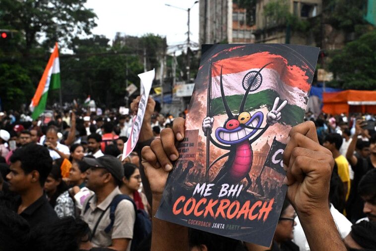 india’s-‘cockroach-party’-is-sparking-national-debate