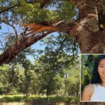yosemite-warns-visitors-about-deadly-park-hazard-that-recently-killed-google-engineer
