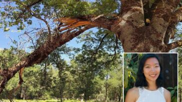 yosemite-warns-visitors-about-deadly-park-hazard-that-recently-killed-google-engineer