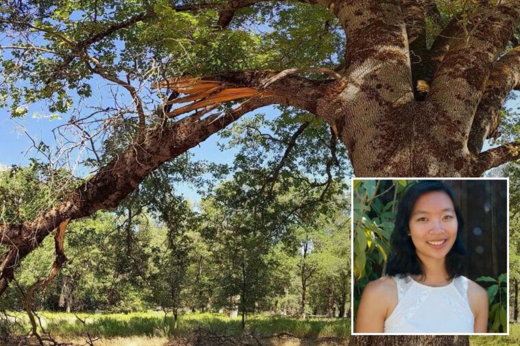 yosemite-warns-visitors-about-deadly-park-hazard-that-recently-killed-google-engineer