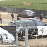 heartbreaking-details-emerge-after-newborn-baby-found-dead-in-california