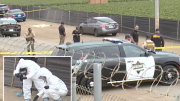 heartbreaking-details-emerge-after-newborn-baby-found-dead-in-california
