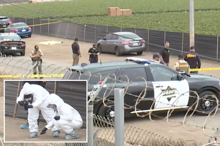 heartbreaking-details-emerge-after-newborn-baby-found-dead-in-california