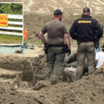 california-animal-rescue-owner-with-117-dead-dogs-found-in-mass-grave-unleashes-on-‘gestapo’-cops