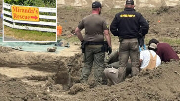 california-animal-rescue-owner-with-117-dead-dogs-found-in-mass-grave-unleashes-on-‘gestapo’-cops
