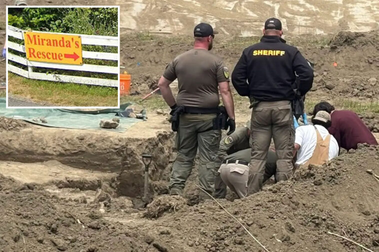 california-animal-rescue-owner-with-117-dead-dogs-found-in-mass-grave-unleashes-on-‘gestapo’-cops