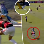 soccer-match-suspended-after-red-card-worthy-parrot-attacks-players
