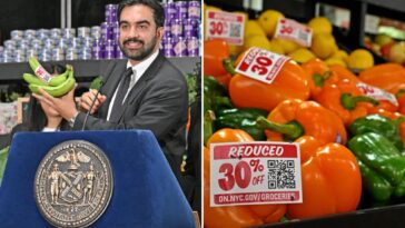 mamdani’s-‘ridiculous’-nyc-owned-grocery-store-plan-has-a-shockingly-bad-business-model:-critics