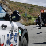 hero-sheepdog-assists-first-responders-with-helicopter-rescue-in-california