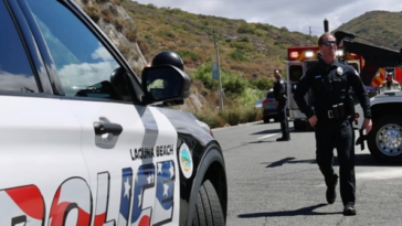 hero-sheepdog-assists-first-responders-with-helicopter-rescue-in-california