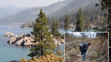 tree-poisoner-on-the-loose-in-lake-tahoe-after-spate-of-attacks-at-popular-beach-cove