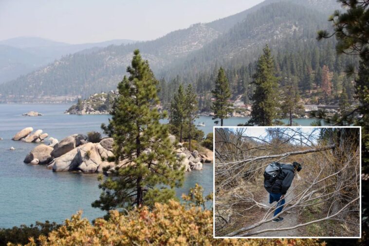tree-poisoner-on-the-loose-in-lake-tahoe-after-spate-of-attacks-at-popular-beach-cove