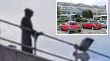 ghoul-dressed-as-‘grim-reaper’-busted-for-staring-at-patients,-doctors-from-hospital-roof