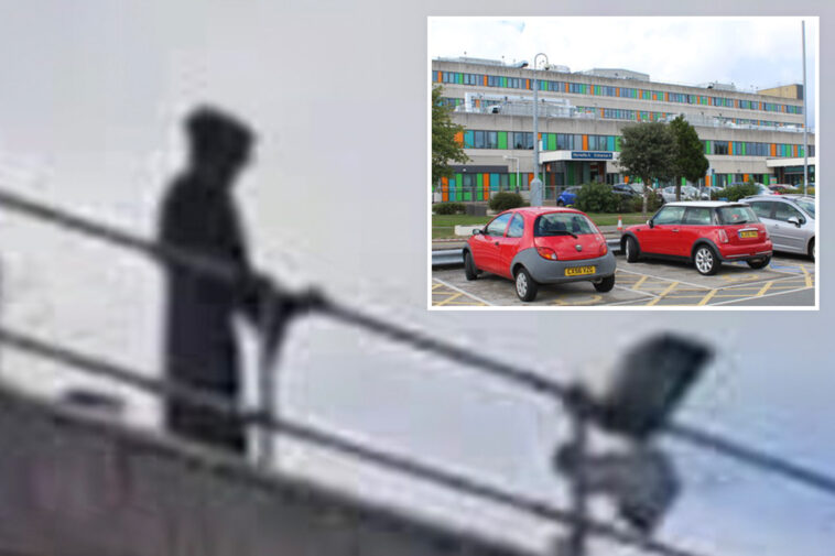 ghoul-dressed-as-‘grim-reaper’-busted-for-staring-at-patients,-doctors-from-hospital-roof