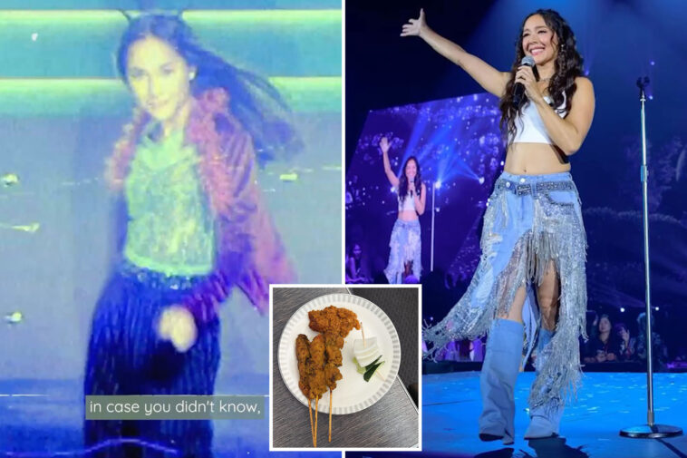 former-child-pop-star-sues-airline-after-chicken-skewer-allegedly-damages-vocal-cords