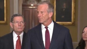 worthless-rino-john-thune-must-resign-after-he-refuses-to-pass-save-act-misses-deadline-to-secure-us-elections