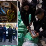 dozens-arrested-in-raid-against-smuggling-ring-financed-by-dubai-investors