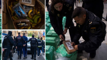 dozens-arrested-in-raid-against-smuggling-ring-financed-by-dubai-investors