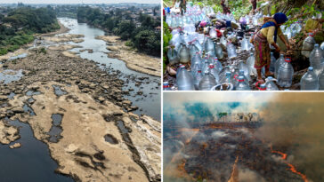 powerful-el-nino-could-push-49m-more-people-into-acute-hunger-in-vulnerable-parts-of-the-world:-un-agency