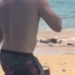 hawaii-democratic-house-candidate-faces-felony-threat-charges-after-beach-fight-caught-on-video