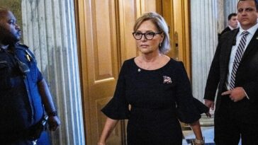 darline-graham:-i’m-south-carolina’s-newest-senator.-this-is-who-i-am-and-what-i-believe