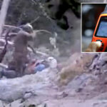 race-against-time-as-hiker-bitten-by-rattlesnake-in-socal-forest-airlifted-to-hospital
