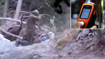 race-against-time-as-hiker-bitten-by-rattlesnake-in-socal-forest-airlifted-to-hospital