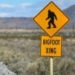 bigfoot-hunter-suggests-there’s-a-conspiracy-after-cornell-university-denies-conducting-dna-tests-on-remains
