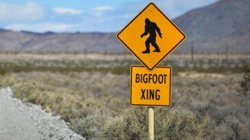 bigfoot-hunter-suggests-there’s-a-conspiracy-after-cornell-university-denies-conducting-dna-tests-on-remains