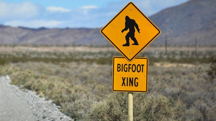 bigfoot-hunter-suggests-there’s-a-conspiracy-after-cornell-university-denies-conducting-dna-tests-on-remains