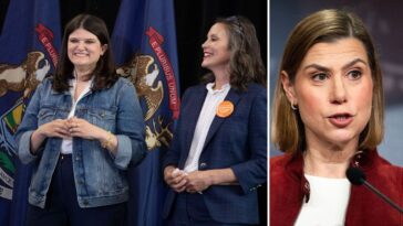 establishment-dems-fall-in-line-behind-el-sayed