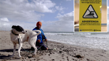 alert-out-for-five-popular-los-angeles-county-beaches-as-bacteria-levels-spike