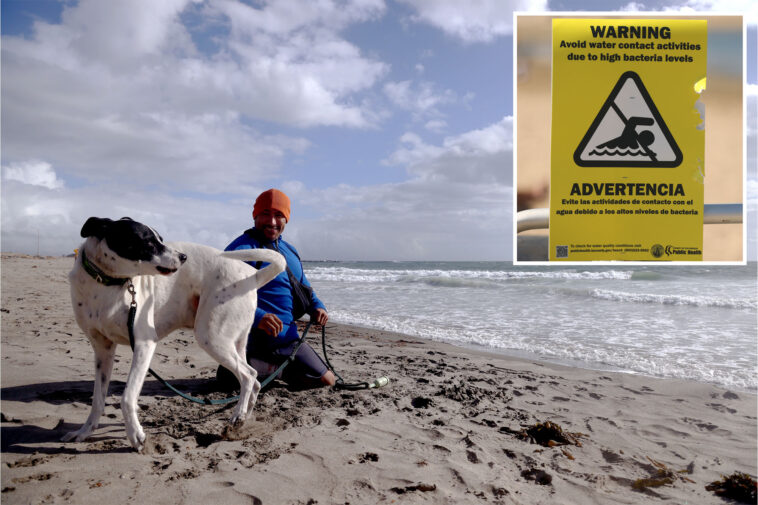 alert-out-for-five-popular-los-angeles-county-beaches-as-bacteria-levels-spike